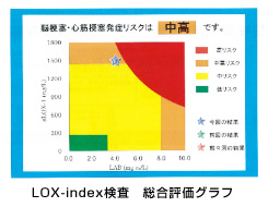 LOX-indexの検査結果 総合評価グラフ